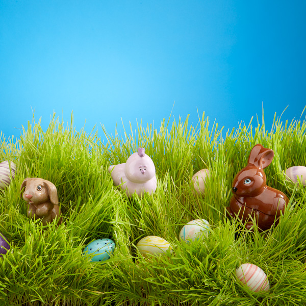 Easter In the Grass