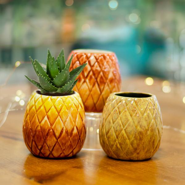 Sweet Summer Pineapple 