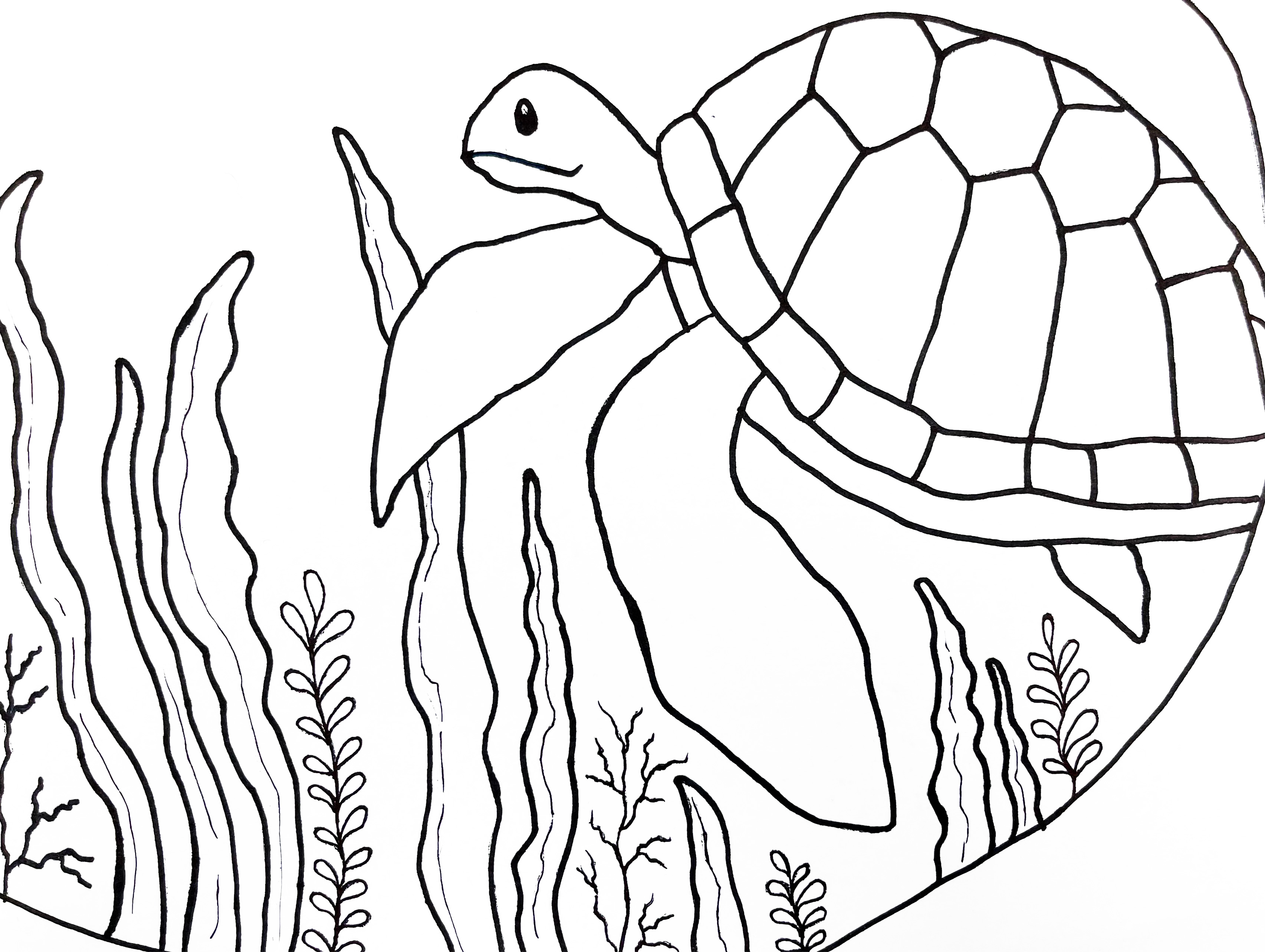 Gare Project Instructions - Watercolor Sea Turtles